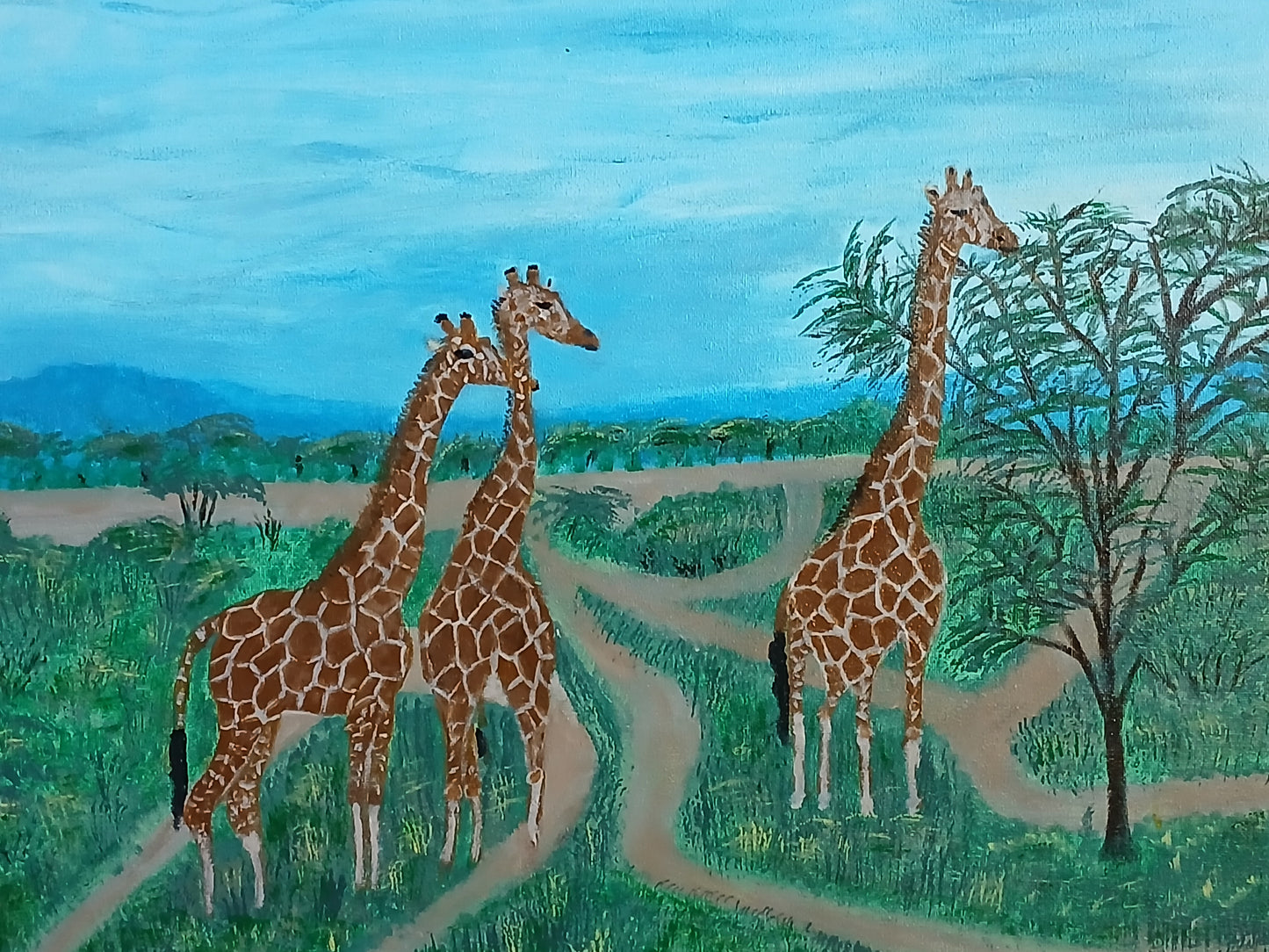 Masai Giraffes