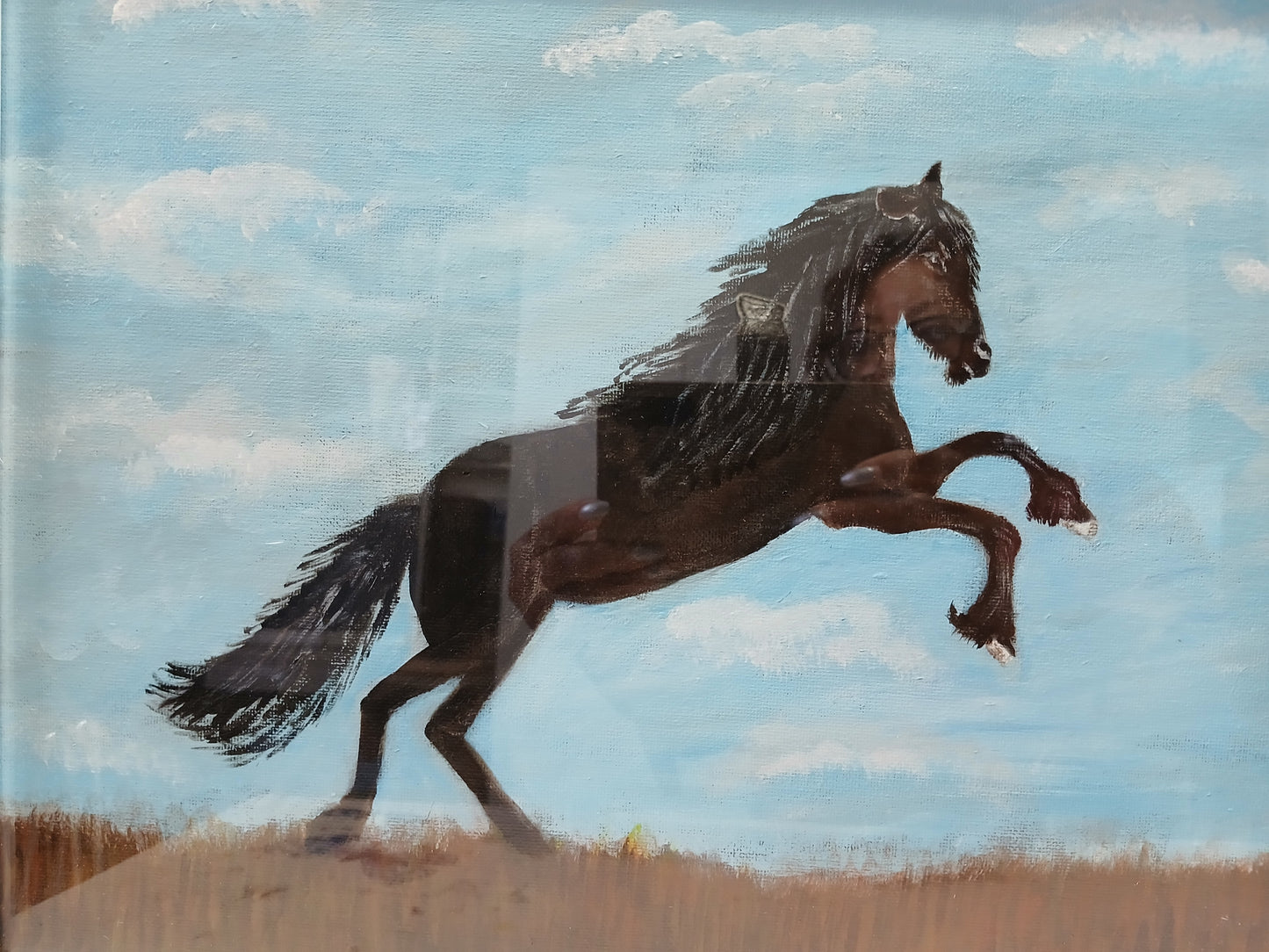 Black Stallion Art