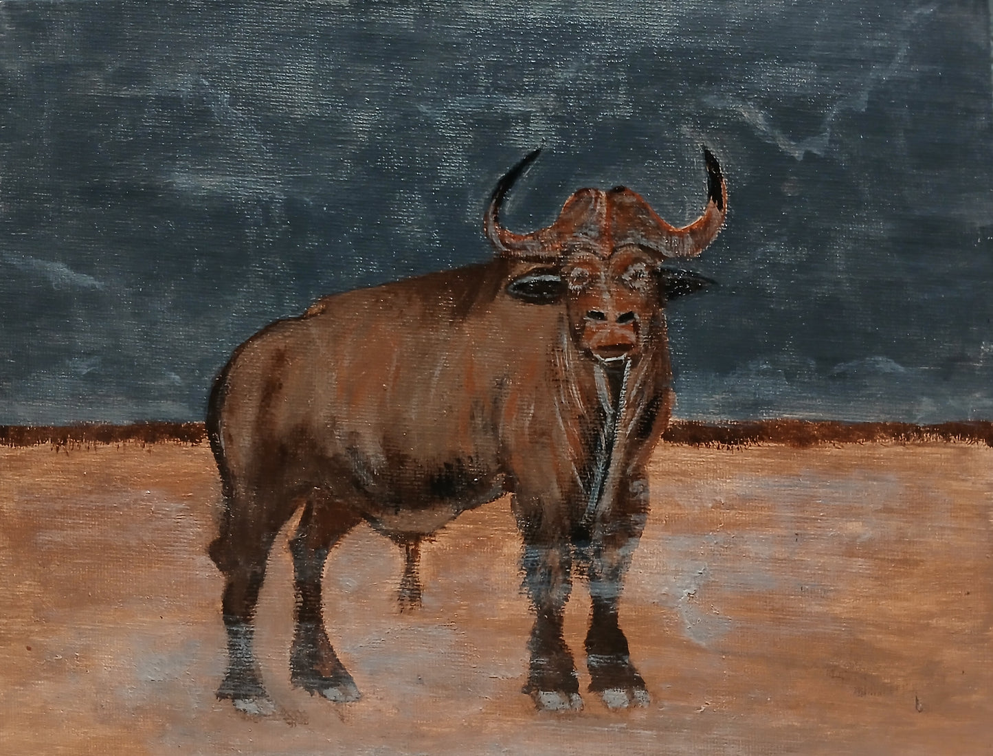 Cape Buffalo Art