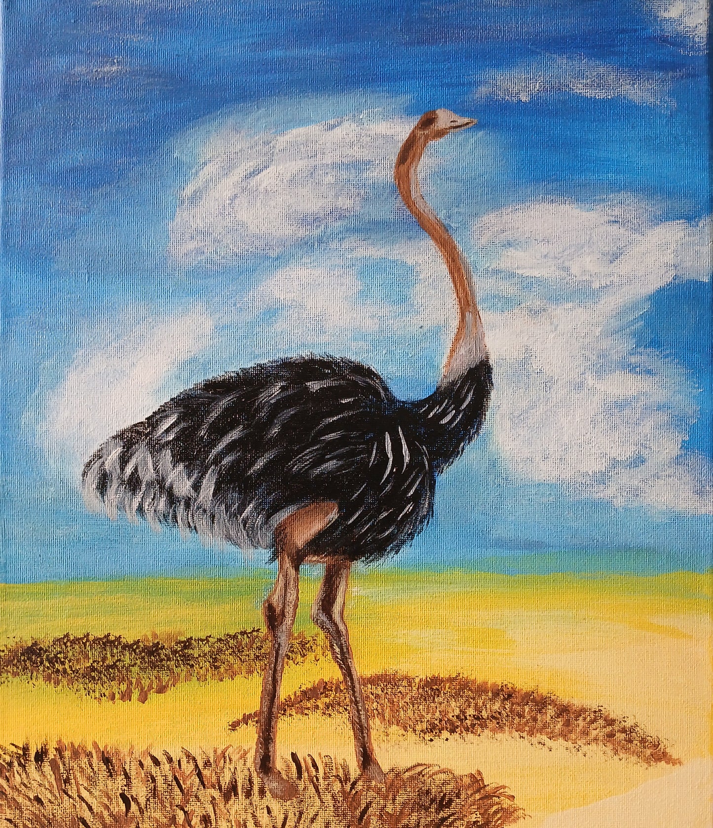 Common Ostrich Art