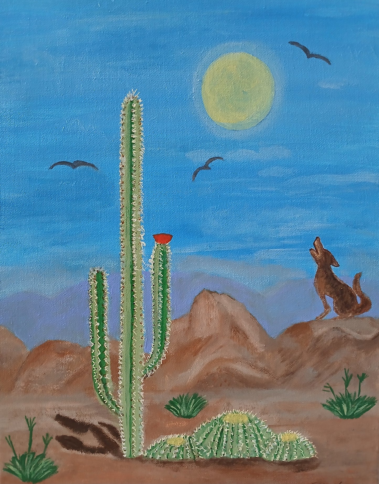 Cactus and Coyote