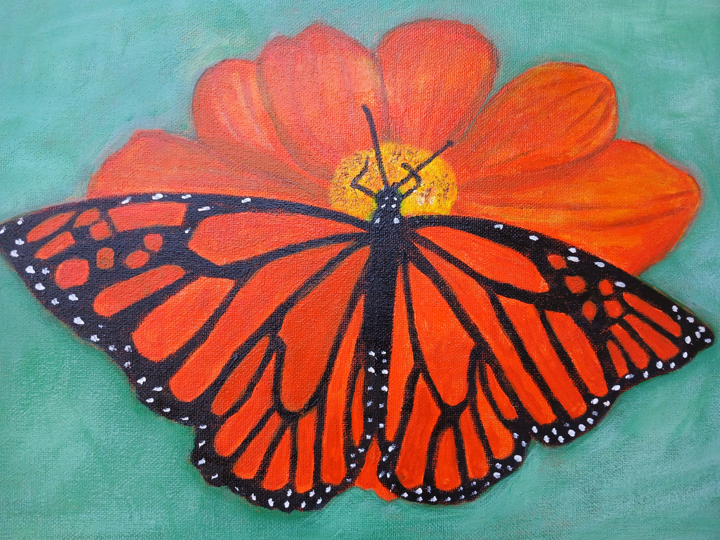 Orange Butterfly