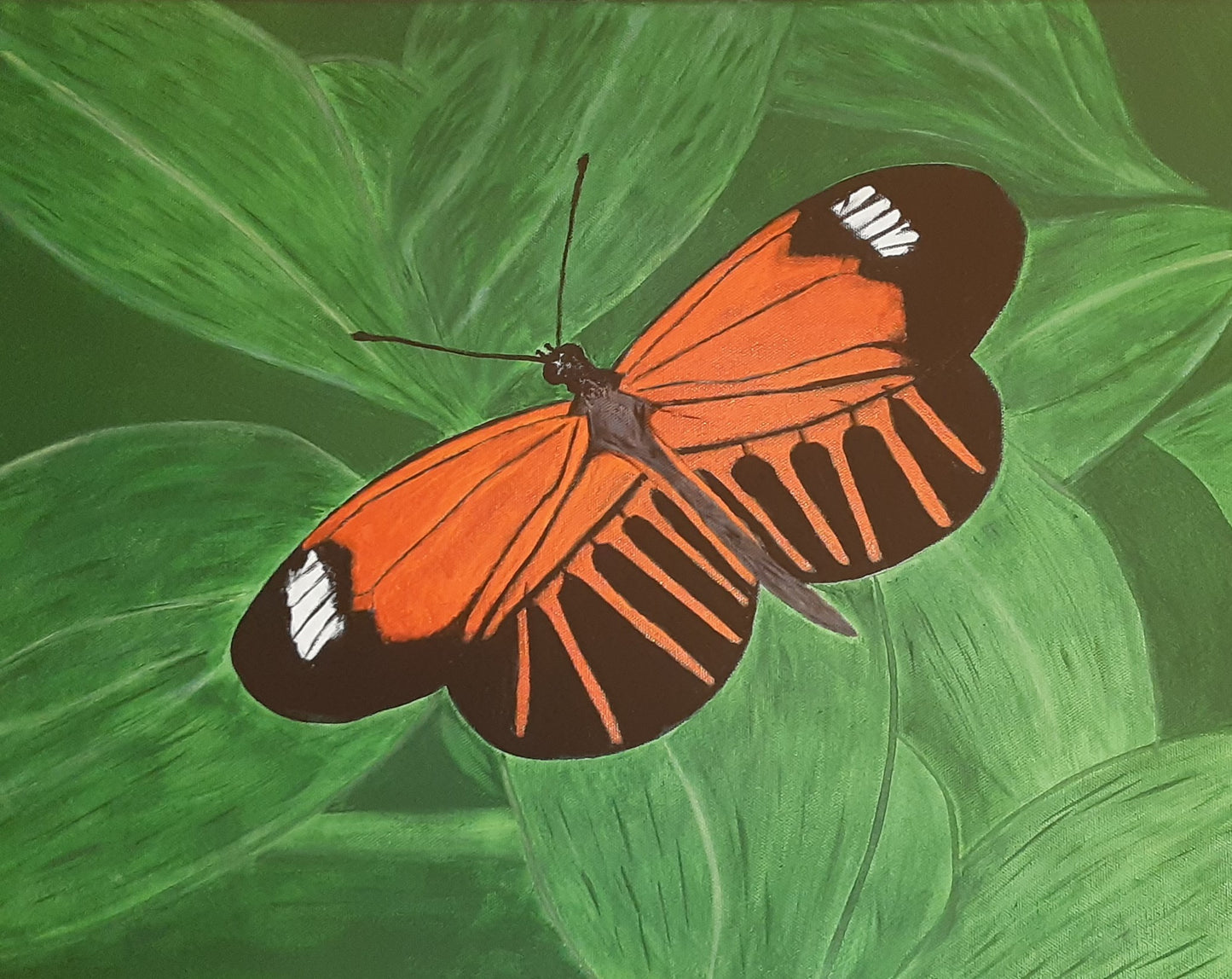 Butterfly Rest Art