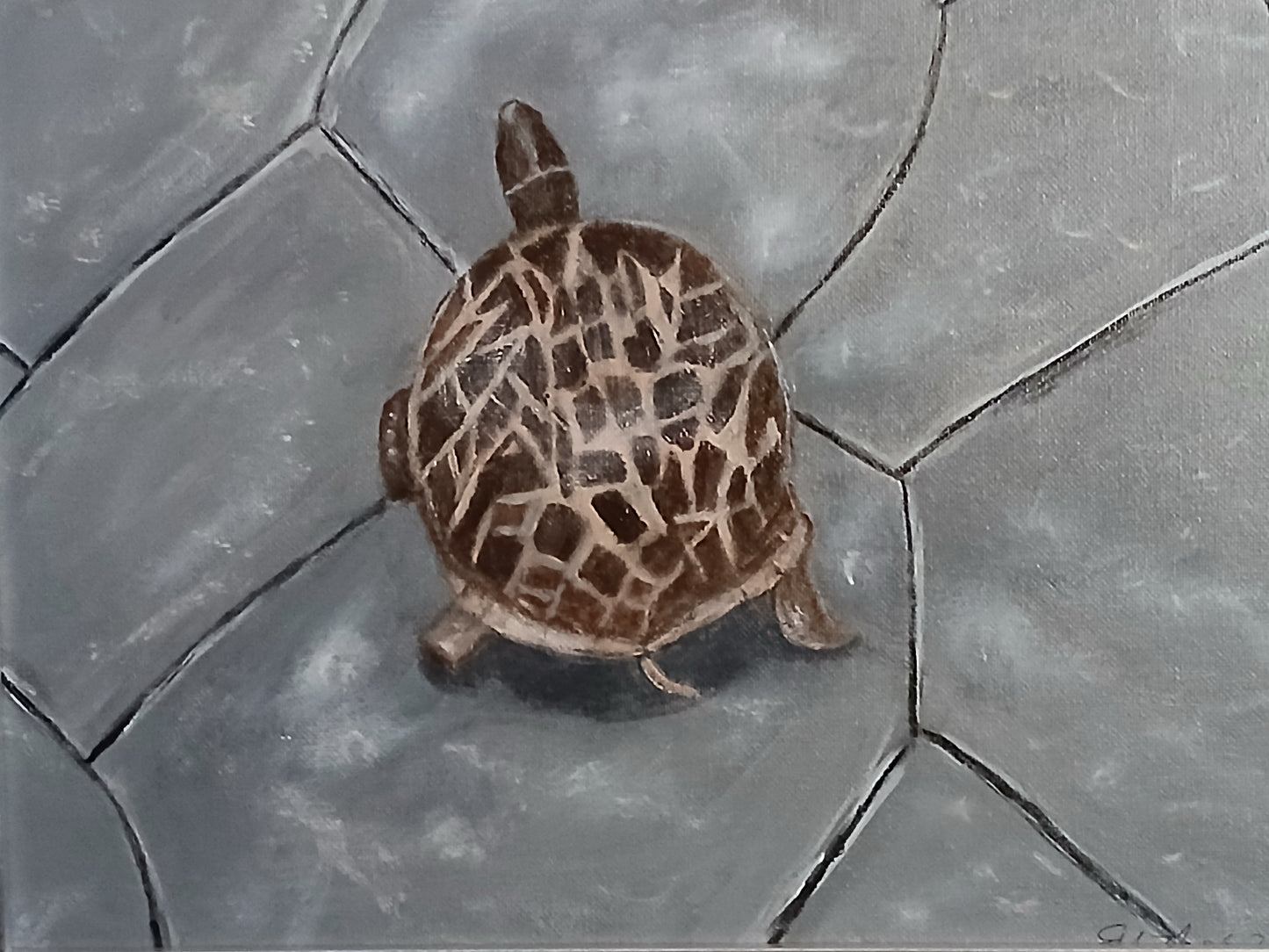 Turtle Walk Art