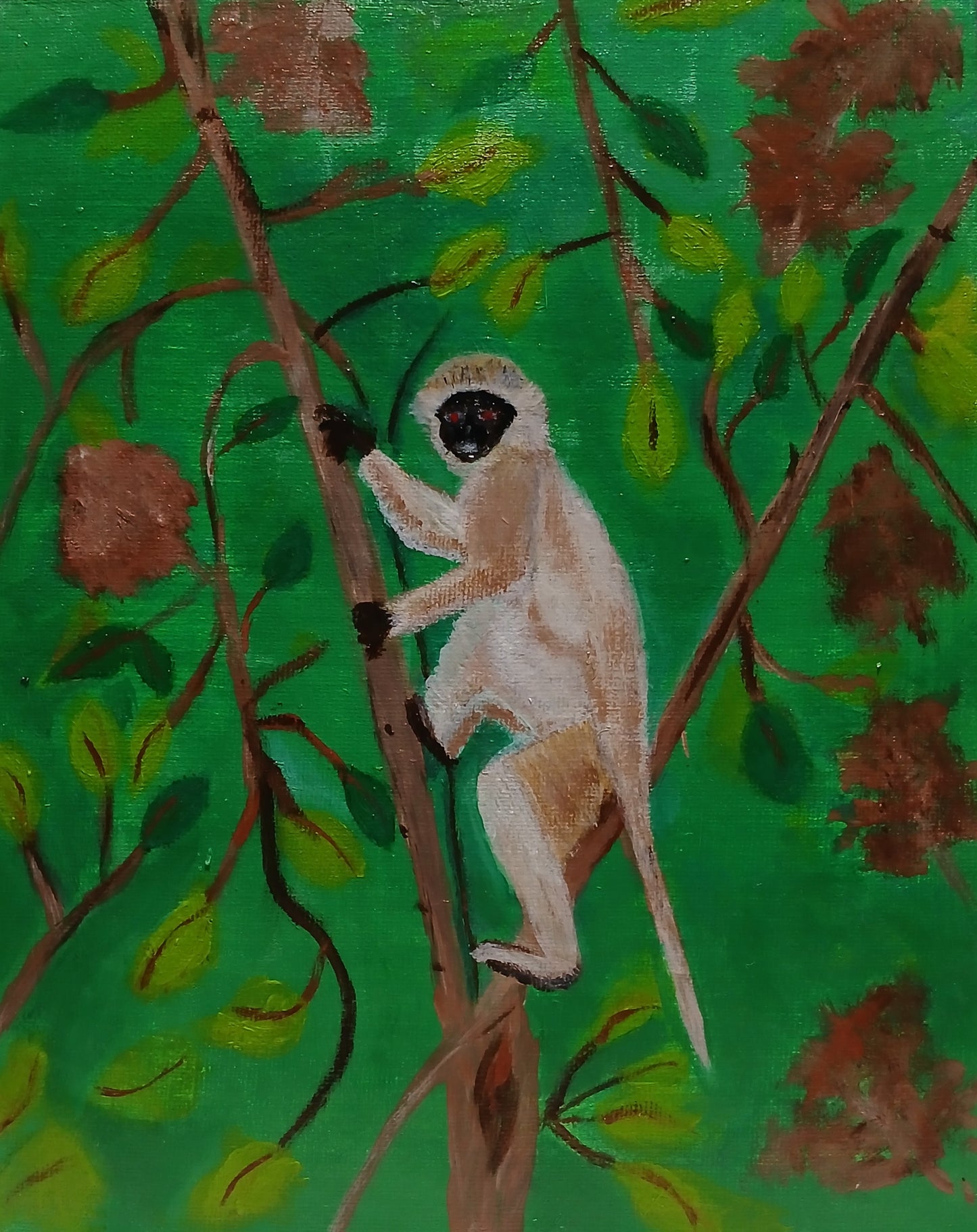 Vervet Monkey