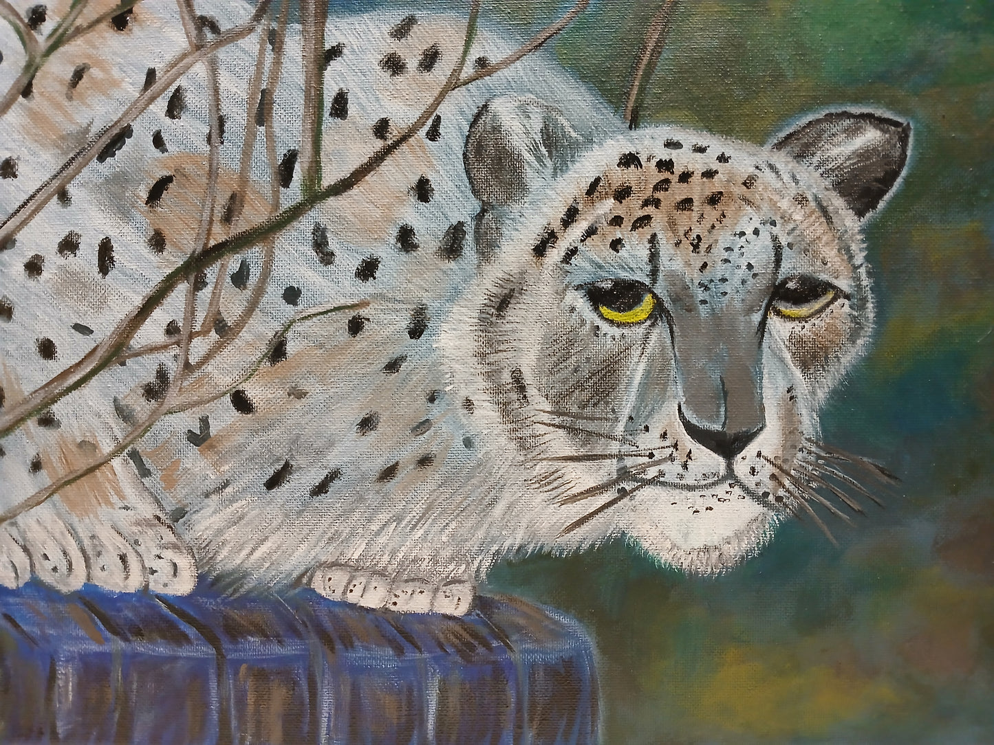 African Leopard Art
