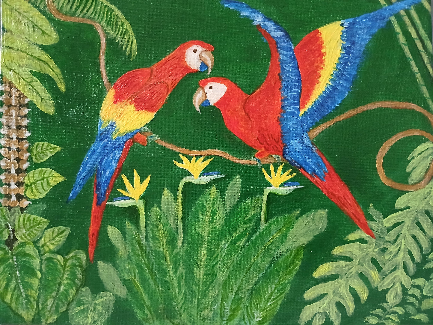 Parrott Talk