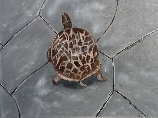Turtle Walk Art